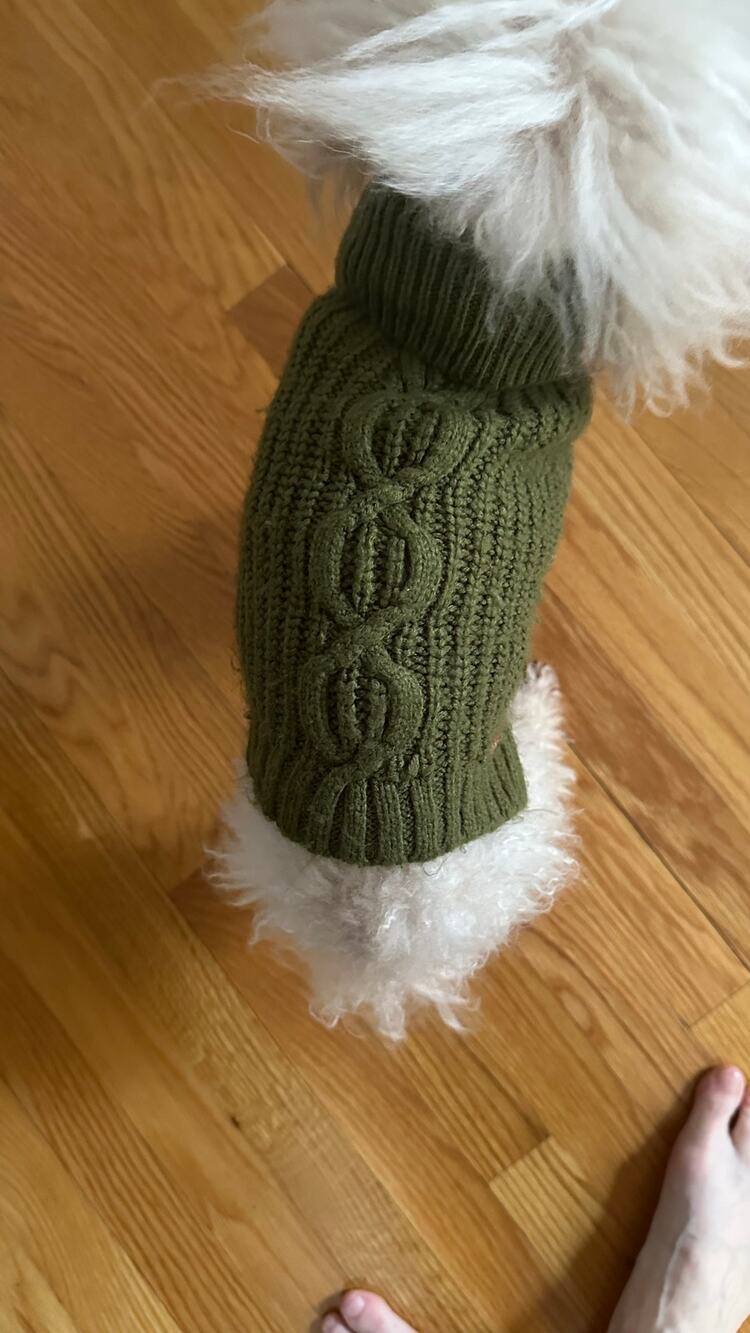 Dog Sweater Size small. Fits a small dog 7-9 pounds